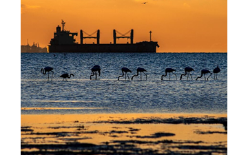 Kocaeli ve Deniz Ulusal Fotoğraf Yarışması için en iyilerini belirledi